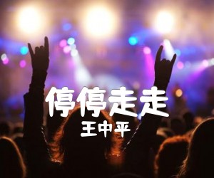 《停停走走吉他谱》_王中平_C调 图片谱1张