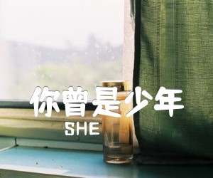 《你曾是少年吉他谱》_SHE_F调 图片谱4张