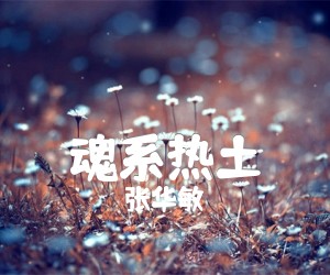 《魂系热土吉他谱》_张华敏_B调 图片谱1张