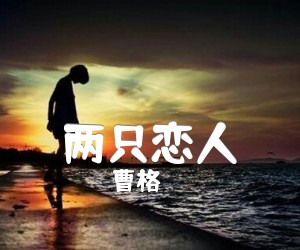 《两只恋人吉他谱》_曹格 图片谱1张