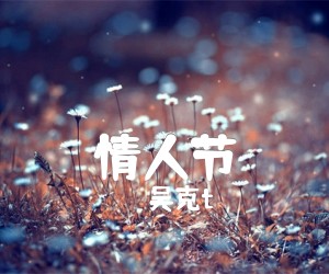 《情人节吉他谱》_吴克t_C调 图片谱1张