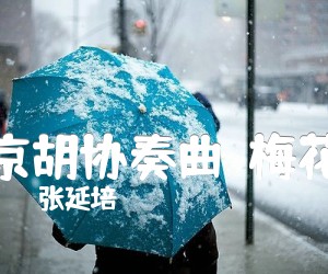 《京胡协奏曲  梅花吉他谱》_张延培_F调 图片谱1张