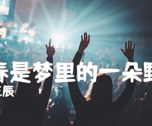 《青春是梦里的一朵野花吉他谱》_王辰 图片谱4张