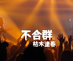 《不合群吉他谱》_枯木逢春_C调_吉他图片谱4张