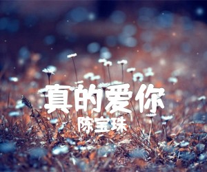 《真的爱你吉他谱》_陈宝珠 图片谱2张