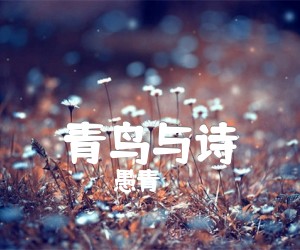 《青鸟与诗吉他谱》_愚青_G调 图片谱2张