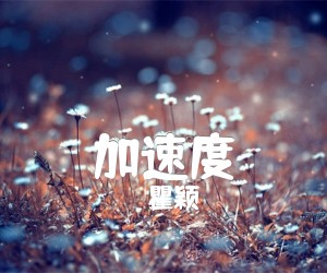 《加速度吉他谱》_瞿颖 图片谱1张