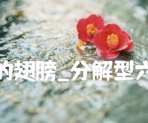 《天使的翅膀吉他谱》_安琥_分解型六线谱_G调 图片谱2张