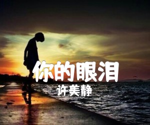 《你的眼泪吉他谱》_许美静 文字谱