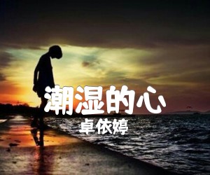 《潮湿的心吉他谱》_卓依婷_吉他图片谱1张