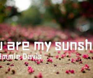 《you are my sunshine吉他谱》_Jimmie Davis_C调 图片谱1张