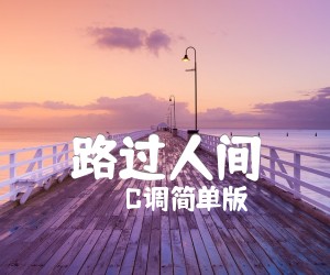 《路过人间吉他谱》_C调简单版_C调 图片谱2张