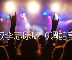 《天空之城李志原版 G调酷音乐器版吉他谱》_群星_G调_吉他图片谱1张