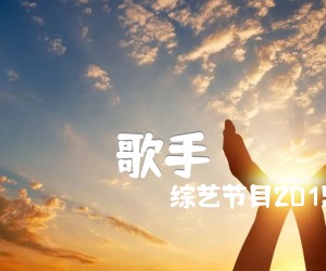 《歌手吉他谱》_综艺节目2019 图片谱1张