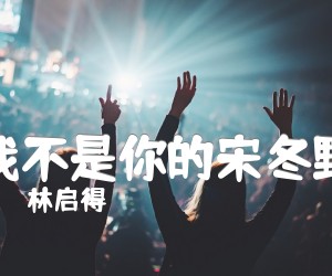 《我不是你的宋冬野吉他谱》_林启得_D调 图片谱3张