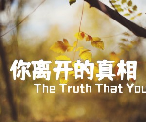 《你离开的真相吉他谱》_The Truth That You Leave_未知调 图片谱2张