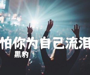 《怕你为自己流泪吉他谱》_黑豹_文字谱