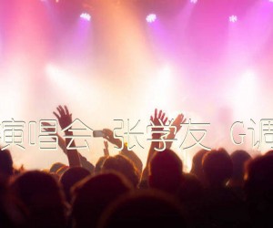 《她来听我的演唱会 张学友 G调高清弹唱谱吉他谱》_群星_G调 图片谱3张