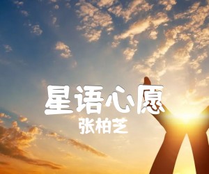 《星语心愿吉他谱》_张柏芝_G调_吉他图片谱1张