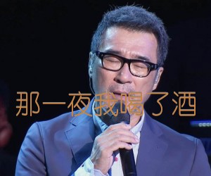 《那一夜我喝了酒吉他谱》_李宗盛 文字谱