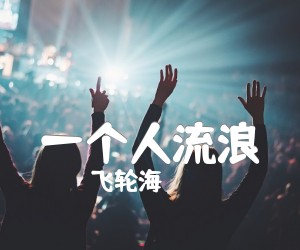 《一个人流浪吉他谱》_飞轮海_C调 图片谱1张