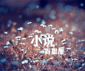 《小说吉他谱》_百里屠伕_C调 图片谱5张