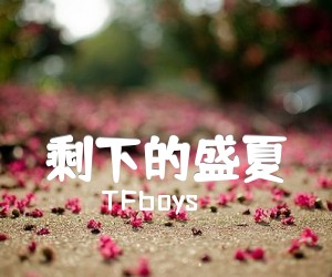 《剩下的盛夏吉他谱》_TFboys_F调 图片谱2张