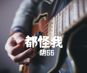 《都怪我吉他谱》_胡66 图片谱2张