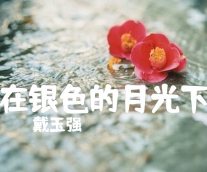 《在银色的月光下吉他谱》_戴玉强_腾格尔_图片谱标准版 图片谱1张