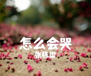 《怎么会哭吉他谱》_张栋梁 文字谱