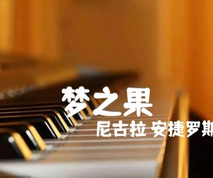 《梦之果吉他谱》_尼古拉 安捷罗斯 图片谱1张