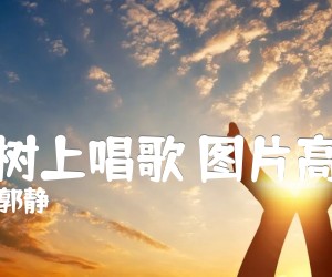 《在树上唱歌 图片高清吉他谱》_郭静_未知调 图片谱1张