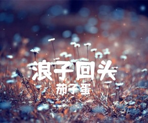 《浪子回头吉他谱》_茄子蛋_C调 图片谱1张