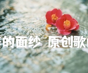 《撩起美的面纱（原创歌曲之九）吉他谱》_杜得民_F调 图片谱1张