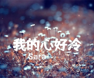 《我的心好冷吉他谱》_Sara_高清版_D调_吉他图片谱2张