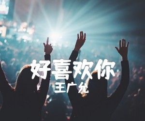 《好喜欢你吉他谱》_王广允_C调 图片谱2张