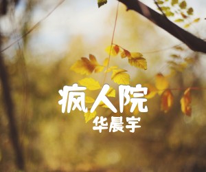 《疯人院吉他谱》_华晨宇_G调 图片谱4张