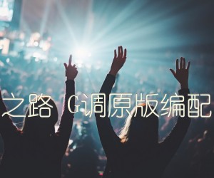 《朴树 平凡之路 G调原版编配【高清版】吉他谱》_群星_G调 图片谱1张