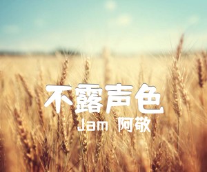 《不露声色吉他谱》_Jam（阿敬）_G调 图片谱2张