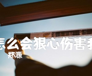 《怎么会狠心伤害我吉他谱》_郑源 文字谱