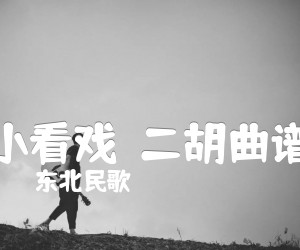 《小看戏  二胡曲谱吉他谱》_东北民歌_D调 图片谱1张