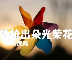 《枪枪出朵光荣花吉他谱》_刘纯修 图片谱1张