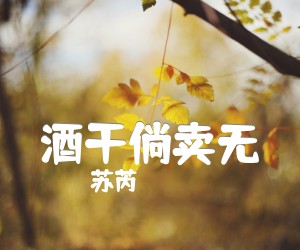 《酒干倘卖无吉他谱》_苏芮_C调 图片谱1张