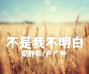 《不是我不明白吉他谱》_梁静茹/卢广仲_G调 图片谱1张