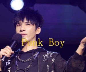 《Punk Boy吉他谱》_花儿乐队_C调 图片谱2张