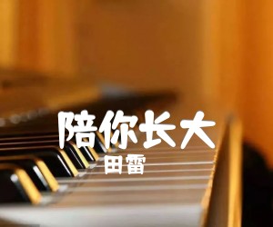 《陪你长大吉他谱》_田雷_G调 图片谱2张