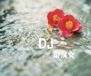 《DJ吉他谱》_梁汉文_文字谱