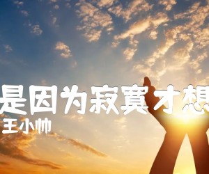 《不是因为寂寞才想你吉他谱》_王小帅_C调 图片谱2张