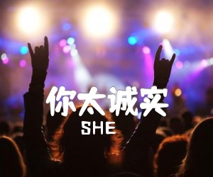 《你太诚实吉他谱》_SHE_E调 图片谱3张