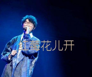 《红莓花儿开吉他谱》_毛不易_C调 图片谱2张